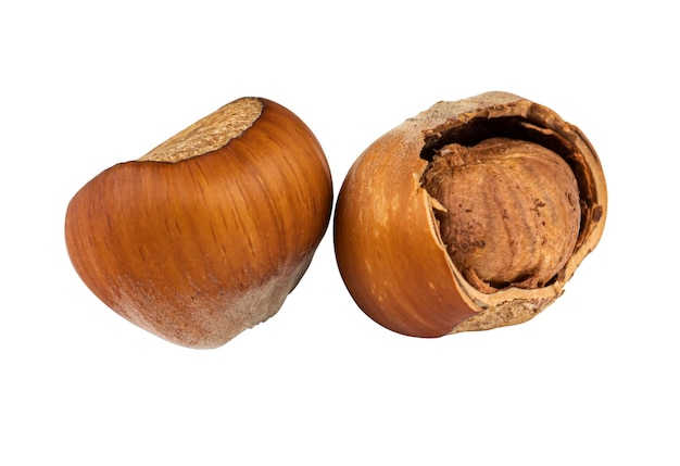 Photo hazelnuts hazelnuts partially shelled on a white background