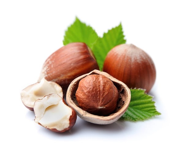 Hazelnuts  isolated.