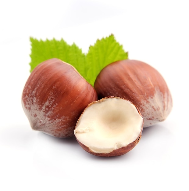 Hazelnuts with leaf on white background