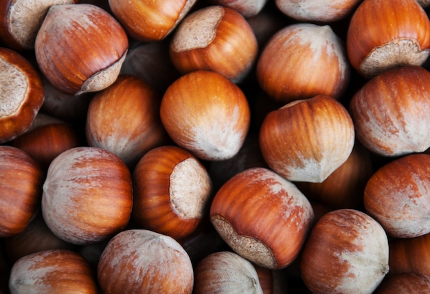 Hazelnuts 