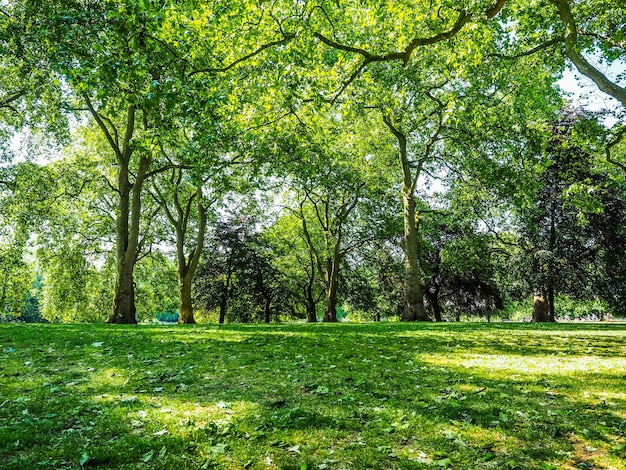 HDR St James's Park in London