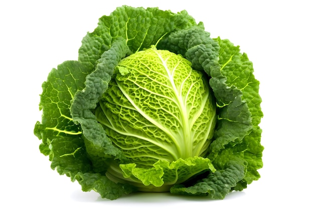 A head of cabbage with leaves