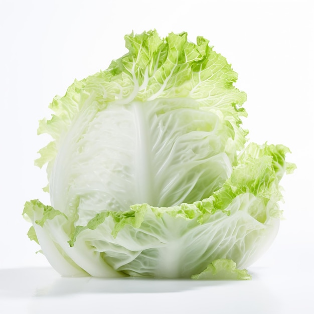 a head of cabbage with a white background