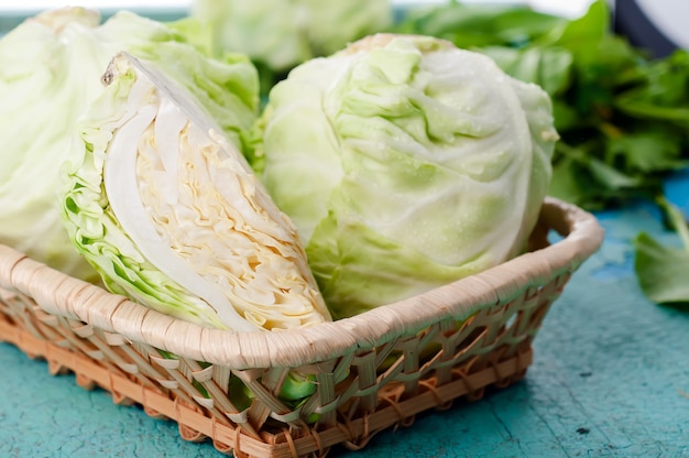 Head of cabbage 