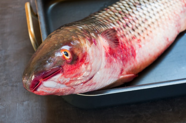 Head fresh raw fish mullet on black 