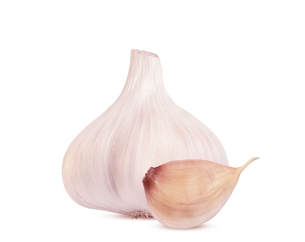 the head of garlic and slice on a white background