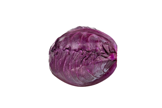 Head of red purple cabbage isolated on white background close up