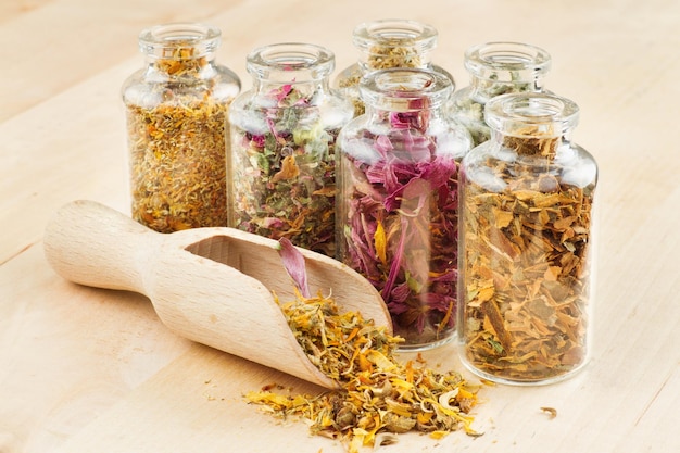 Healing herbs in glass bottles and wooden scoop herbal medicine