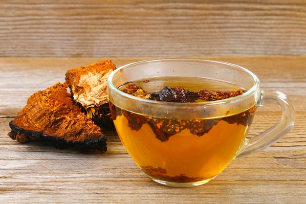 Healing tea from birch mushroom chaga is used in folk medicine.