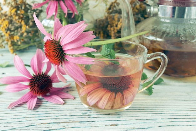 Healing tea from fresh echinacea flowers and mint, in a glass cup and teapot, on a wooden table