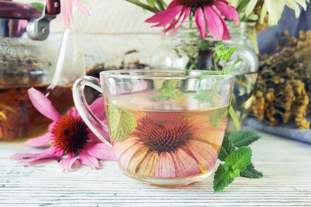 Healing tea from fresh echinacea flowers and mint, in a glass cup and teapot, on a wooden table