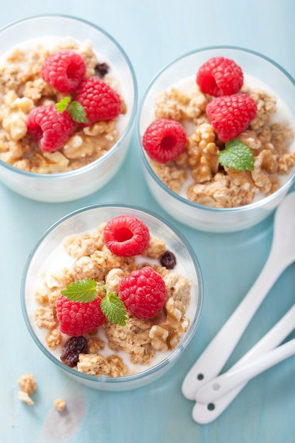 Healthy breakfast with yogurt granola and raspberry