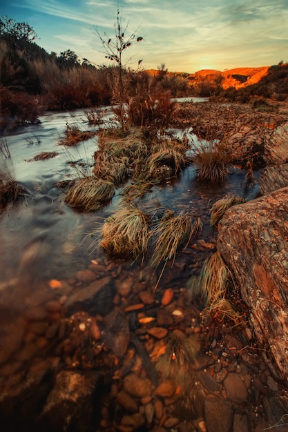 Healthy countryside river