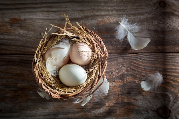 Healthy and ecological eggs from the countryside