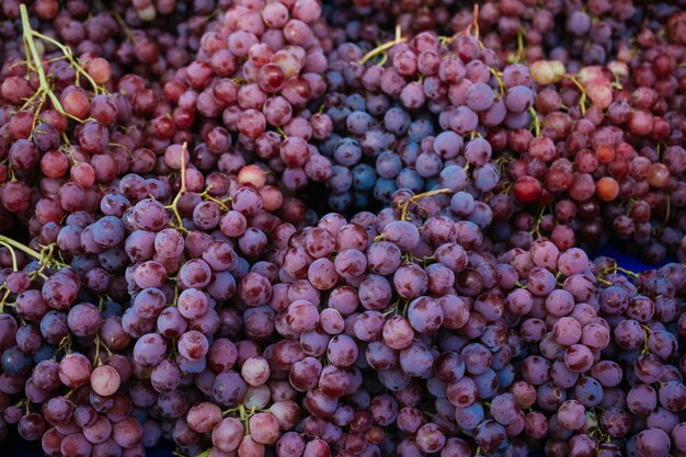 Healthy fruits Red dark blue wine grapes background