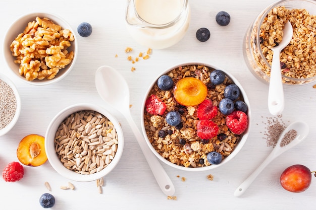 Healthy granola for breakfast with berry fruit nut, vegan milk