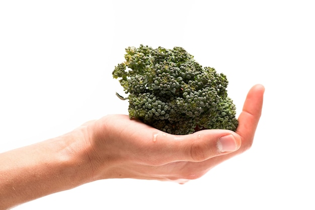 Healthy nutrition and vegan diet concept Broccoli in female palm