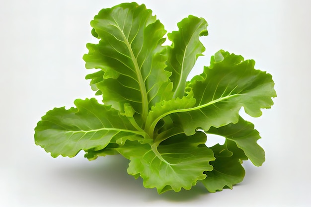 Healthy One natural Arugula Lettuce Generative Ai