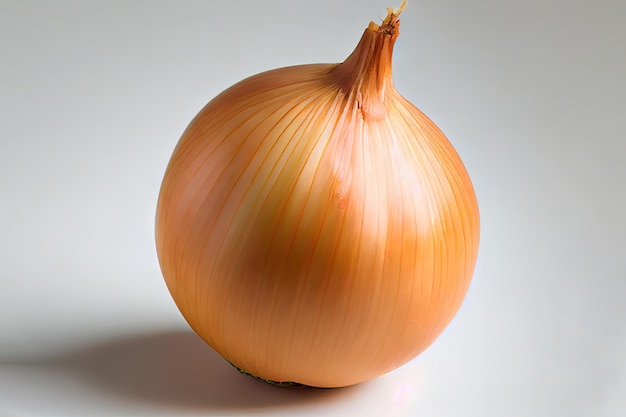 Healthy One natural Onions