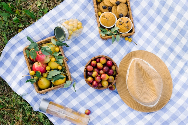 Healthy picnic for summer holidays with fresh pastries, fresh fruits and berries, laid out on a white-blue checked fabric, basket and hat