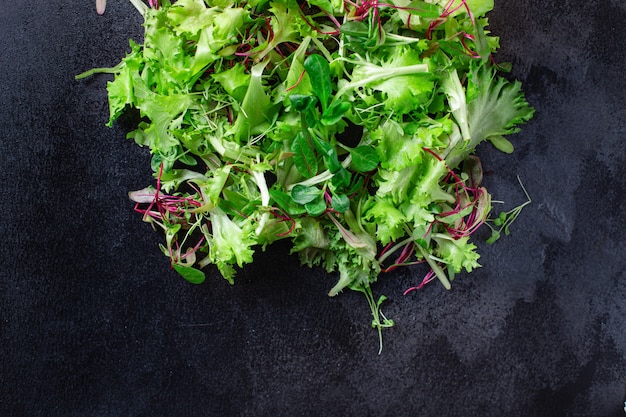 Healthy salad, leaves mix salad mix micro greens, juicy snack