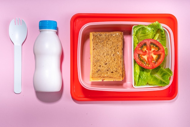 Healthy school meal concept