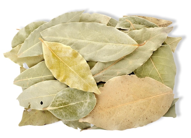 Heap bay leaves on a white background