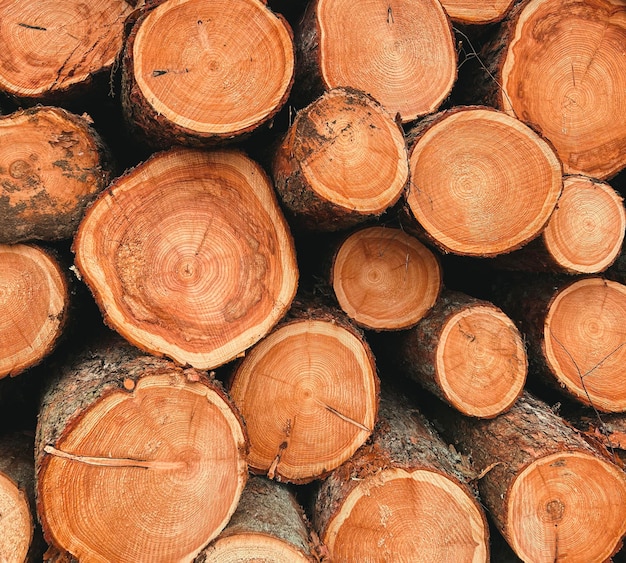 Heap firewood closeup Pile of fresh fire wood prepared for winter