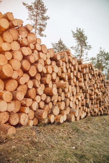 Heap firewood closeup Pile of fresh fire wood prepared for winter