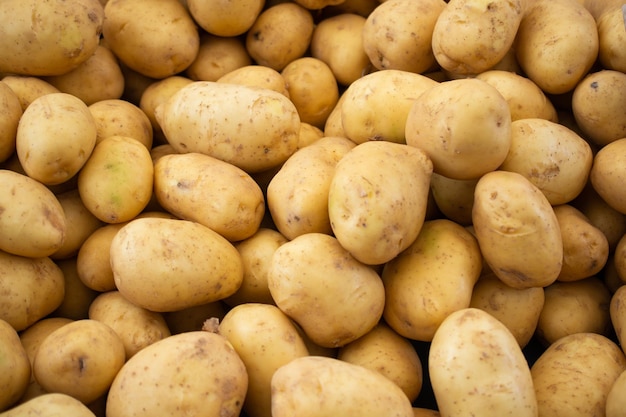 Heap of Fresh organic potato root as background texture