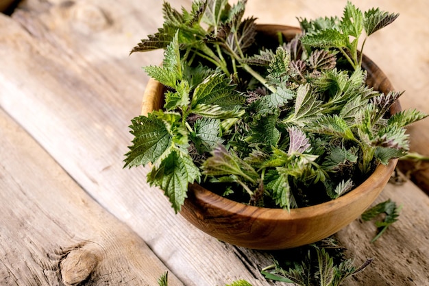 Heap of fresh young organic nettle leaves in wooden bowl on old wood background Wild plants for spring healthy vegan eating