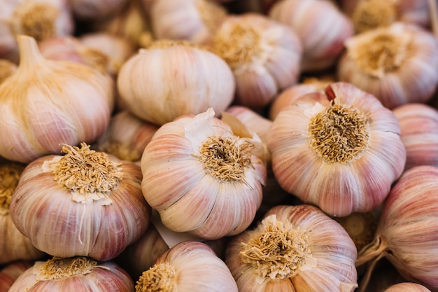 Heap of garlic bulbs