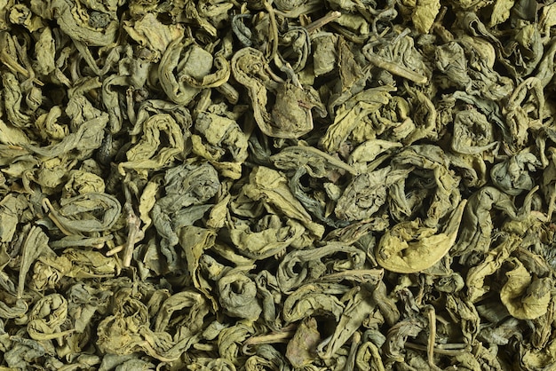 Heap of green tea dried leaves background or texture