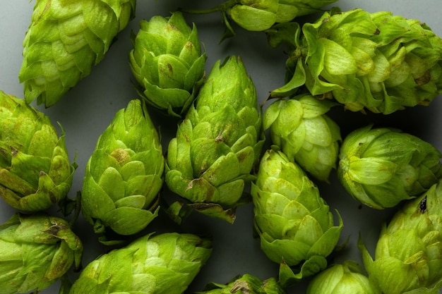 Heap of hop flowers