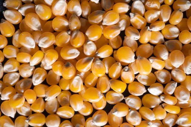 Heap of raw popcorn grains texture Yellow background