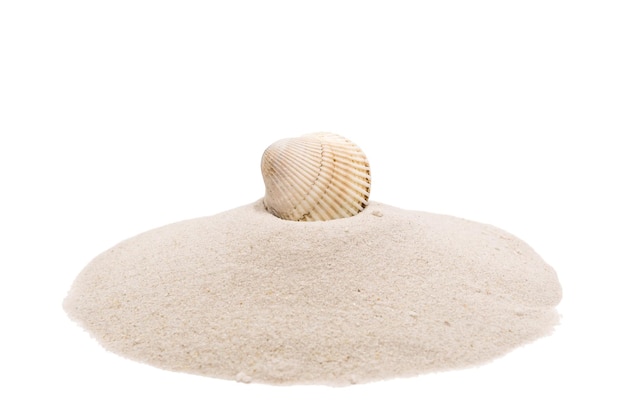 Heap of sand with seashell isolated on white