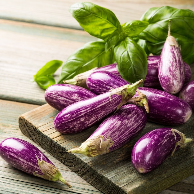 Heap of small eggplant or aubergine