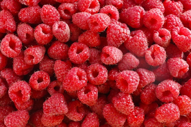 Heap of sweet red raspberries close up