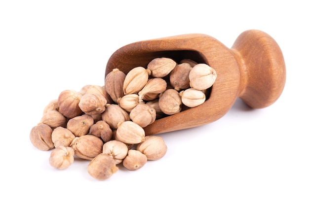 Heap of white cardamom pods in wooden scoop isolated on white background kapulaga jawa or javanese