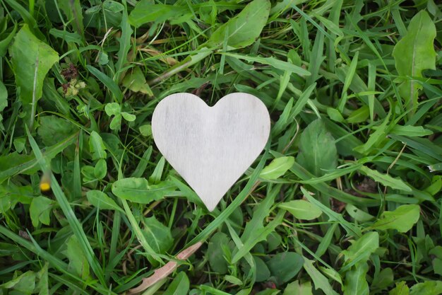 Heart decorative handmade shape on a green grass background