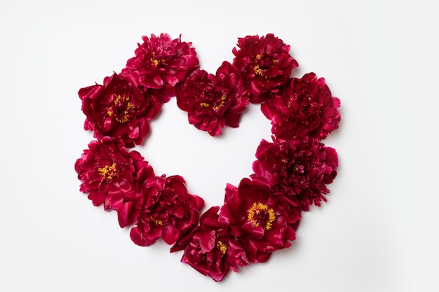 Heart frame made of red peony flowers with copy space for text on white 