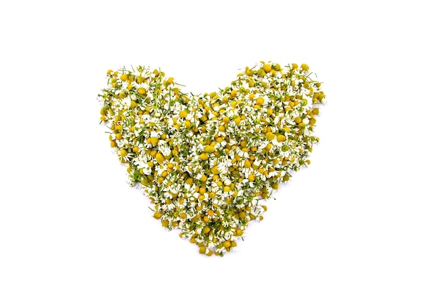 Heart from chamomile flowers.