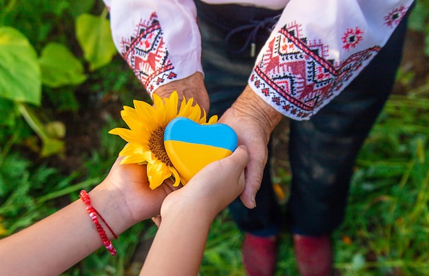 Photo heart in hands in a field of sunflowers in an embroidered shirt selective focus