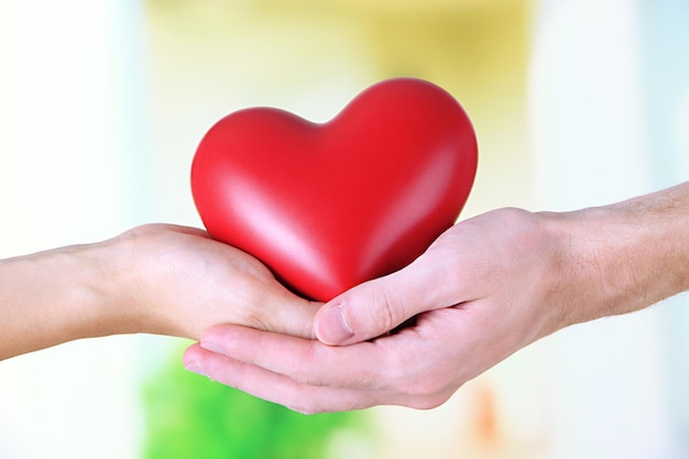 Heart in hands on light background