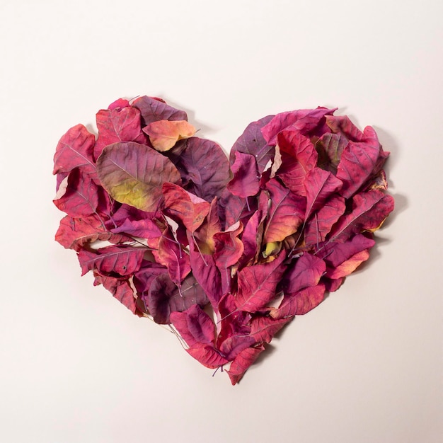 Heart made of autumn leaves in trendy color Minimalistic love day concept