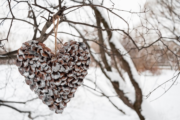 Heart of scales of pine cones hanging on tree on white winter.