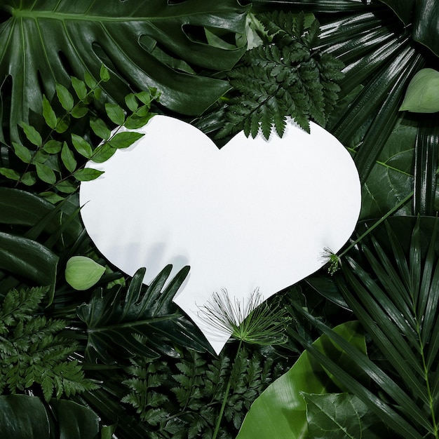 Heart shape cutout with green leaves Love concept Flat lay