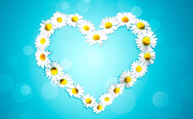 Heart shape made from white chamomile daisy flowers. Alternative medicine.