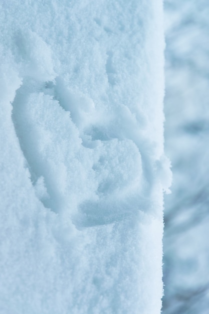 Heart shape in the snow