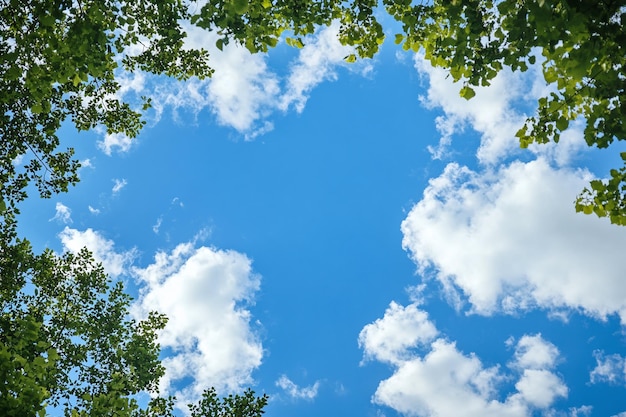 a heart shaped cloud in the sky with trees and clouds